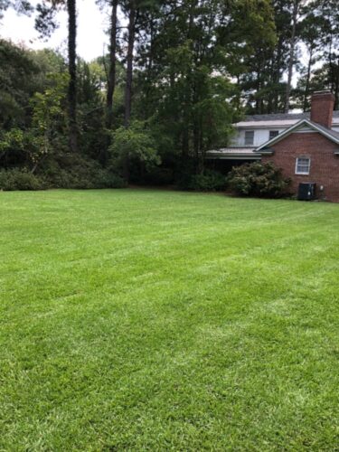 Lawn Care Darlington SC - Mowing