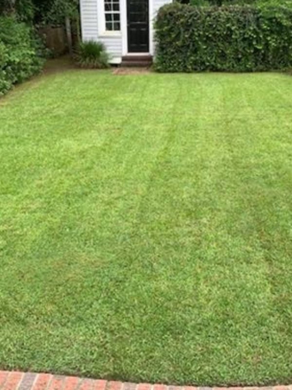 Lawn Care Florence SC - Mowing